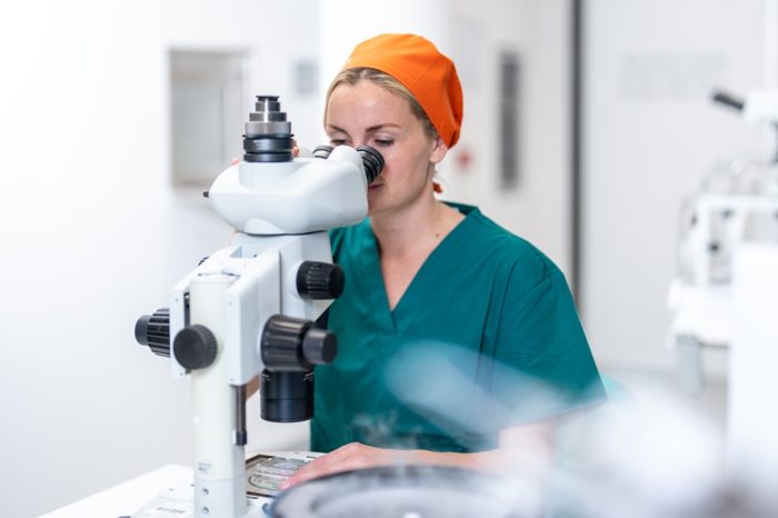 Male Fertility: Beyond Semen Analysis to DNA Fragmentation